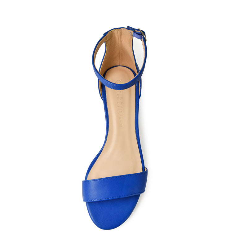 LARINA-29 Open Toe Ankle Strap Low Chunky Block Heel Sandals